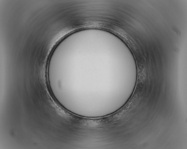 X0000113171086200909181827