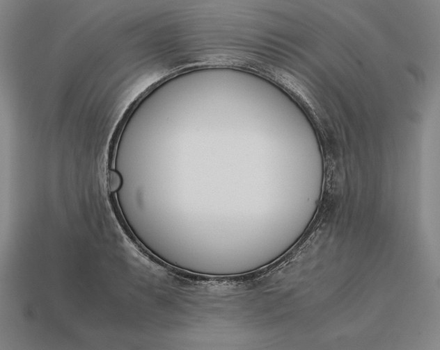 X0000113171087200909181827