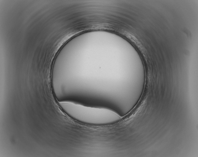 X0000113171089200909181827