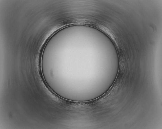 X0000113171091200909181827