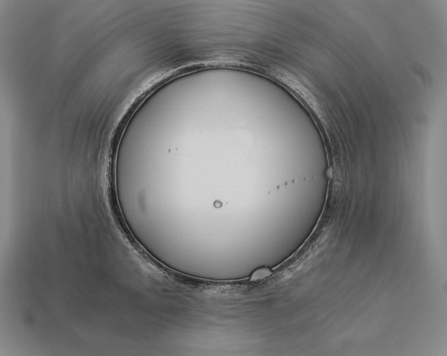 X0000113171093200909181827