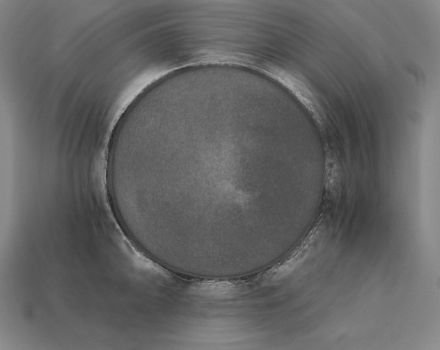 X0000113171094200909181827
