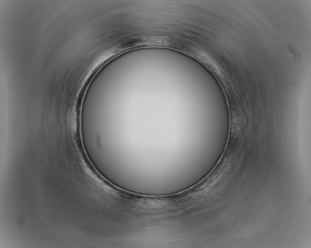 X0000113171095200909181827