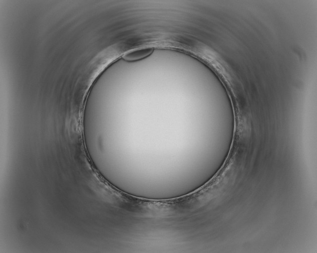 X0000113171097200909181827