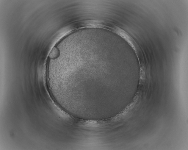 X0000113171098200909181827