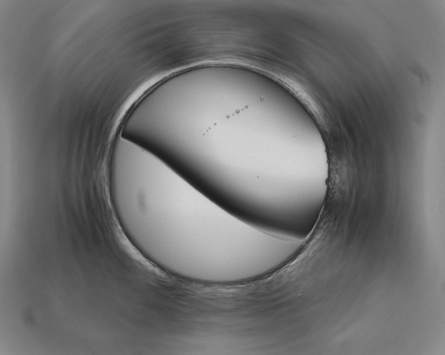 X0000113171100200909181827