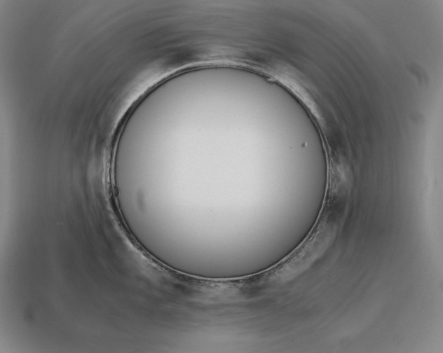 X0000113171101200909181827