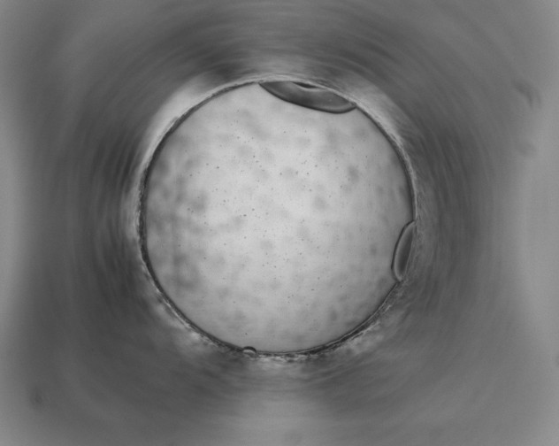 X0000113171104200909181827