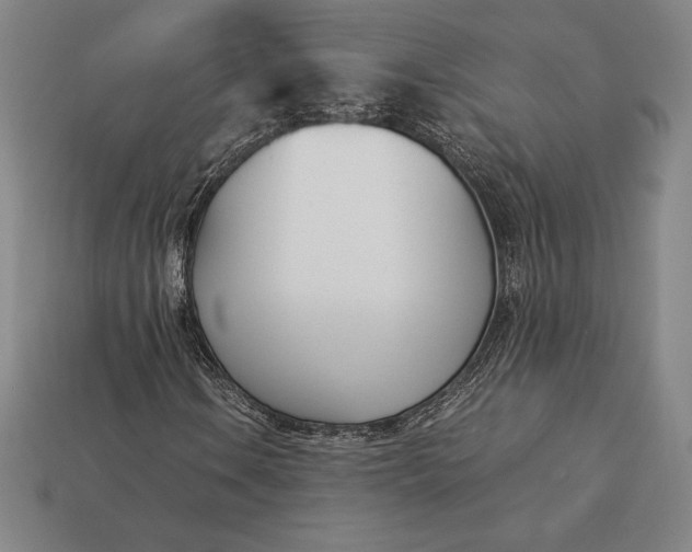 X0000113171106200909181826