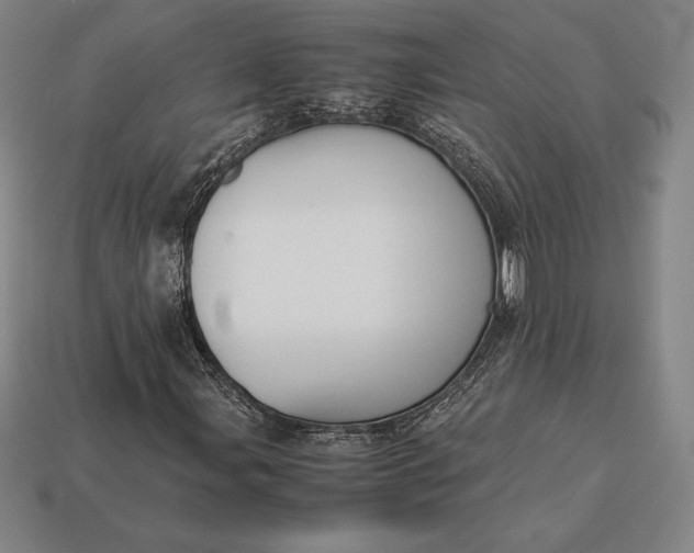 X0000113171107200909181826