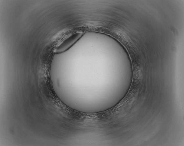 X0000113171110200909181826