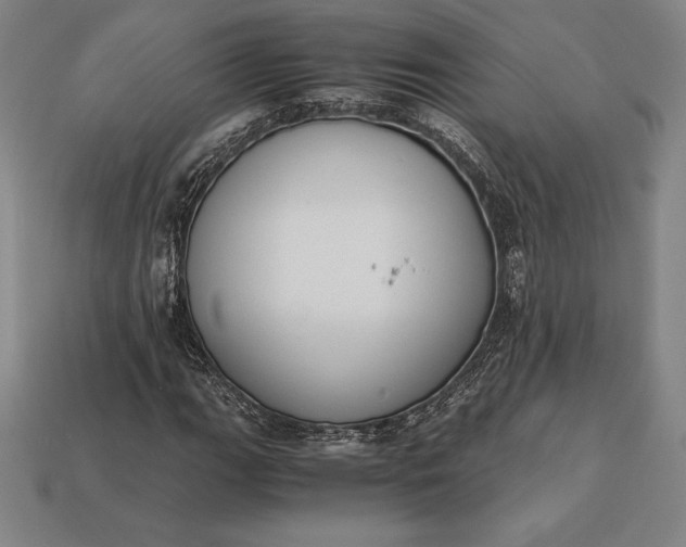 X0000113171111200909181826