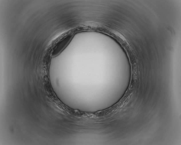 X0000113171112200909181826