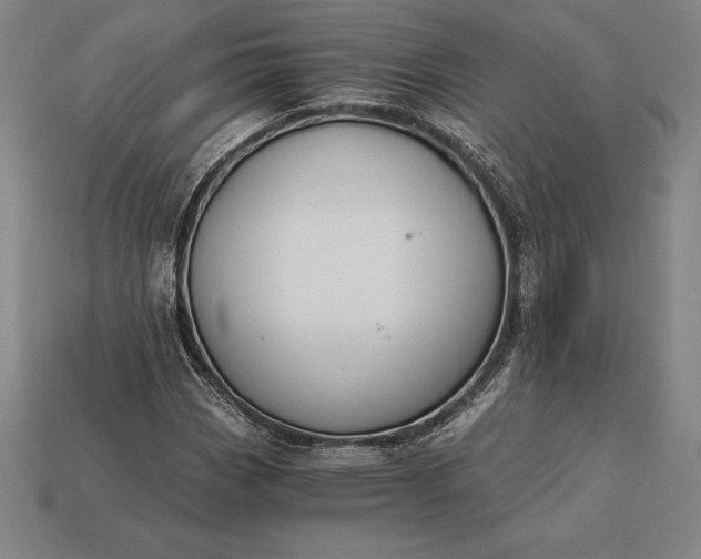 X0000113171113200909181826