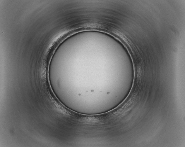 X0000113171115200909181826