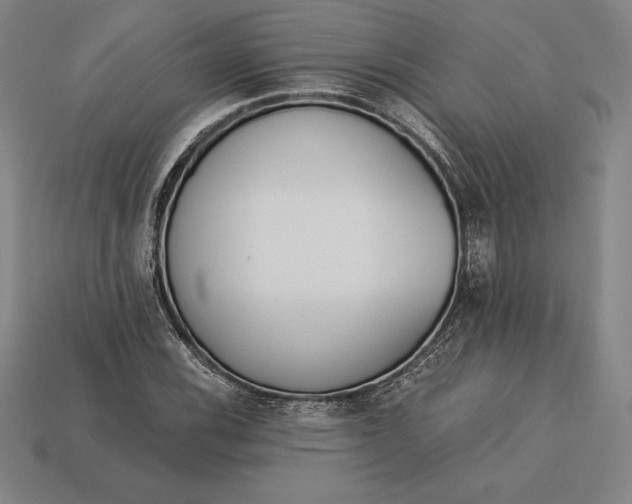X0000113171116200909181826