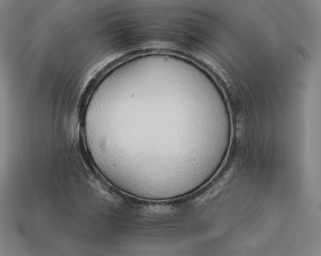 X0000113171117200909181826
