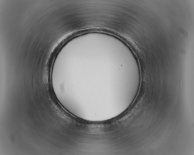 X0000113171118200909181826