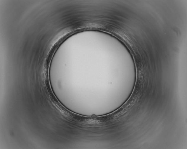 X0000113171119200909181826