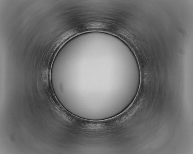 X0000113171121200909181826