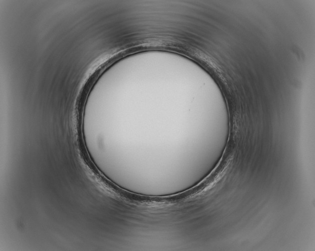 X0000113171122200909181826