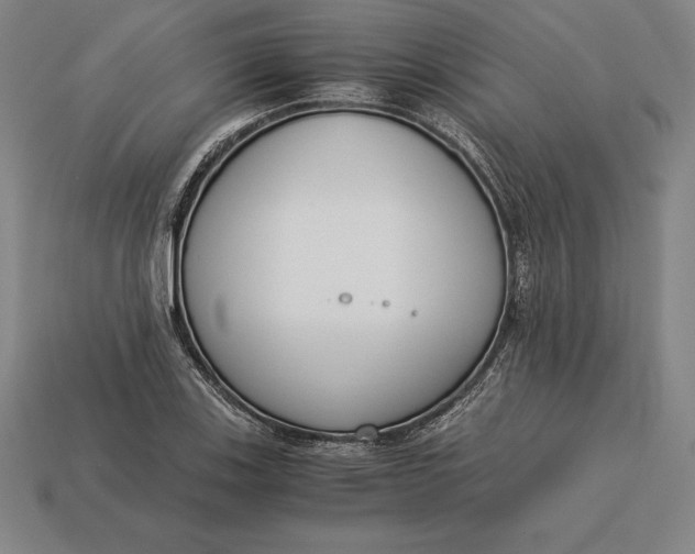 X0000113171123200909181826