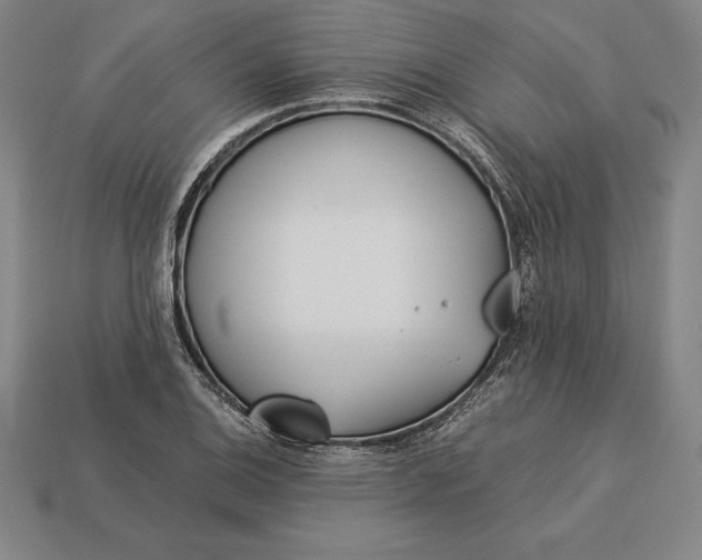 X0000113171124200909181826