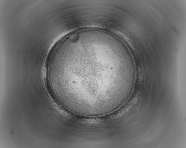 X0000113171125200909181826