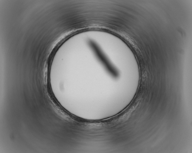 X0000113171126200909181826