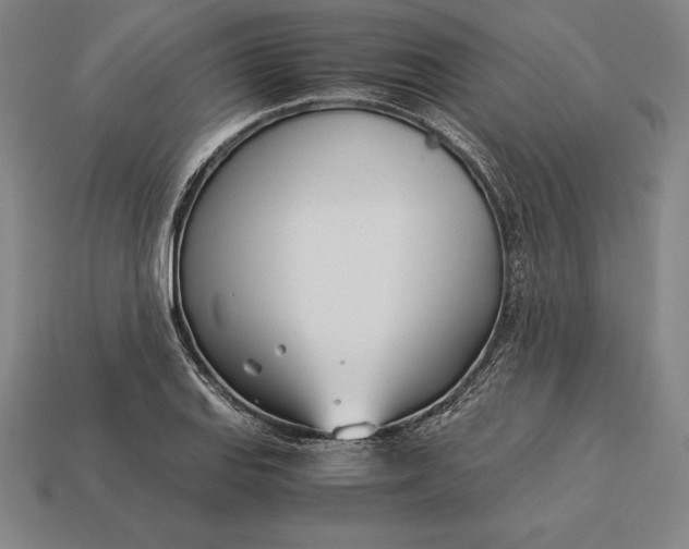 X0000113171127200909181826