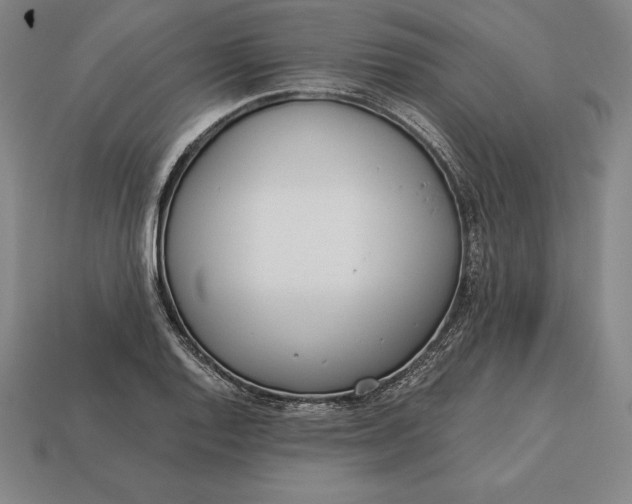X0000113171128200909181826