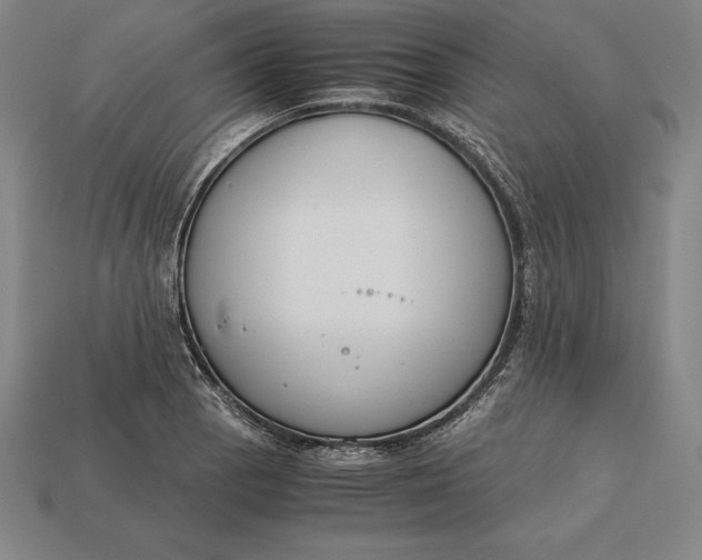 X0000113171129200909181826