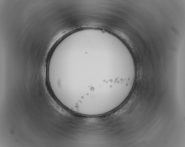 X0000113171130200909181826