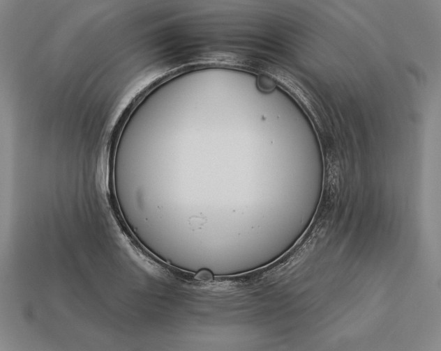 X0000113171131200909181826