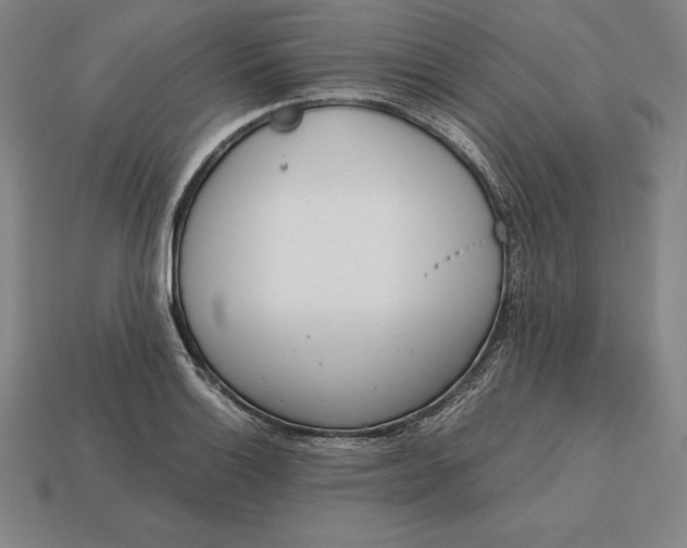 X0000113171132200909181826