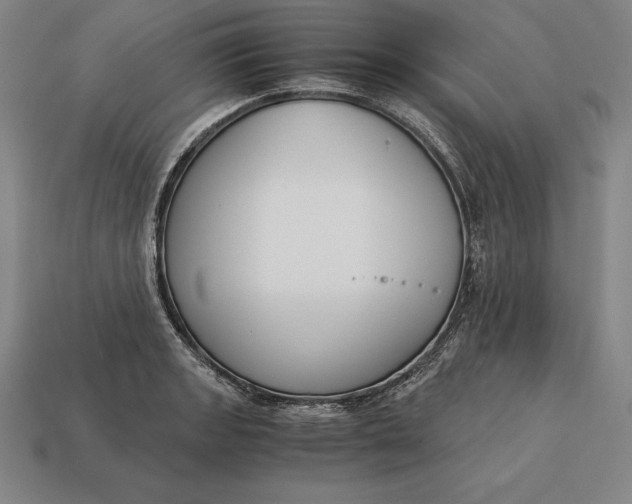 X0000113171133200909181826