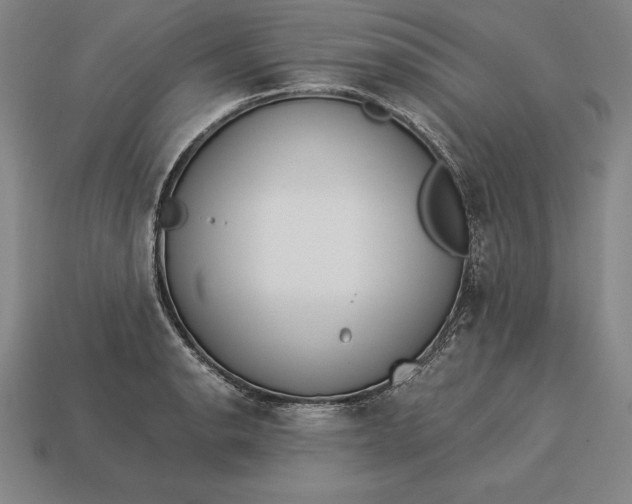 X0000113171134200909181826