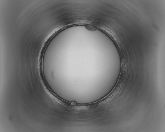 X0000113171135200909181826