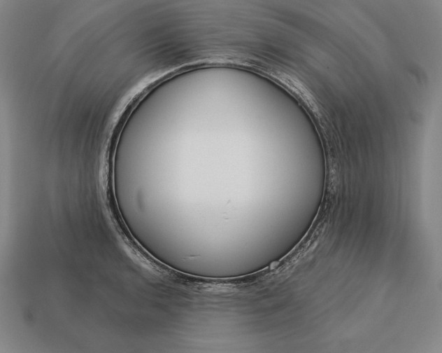 X0000113171136200909181826