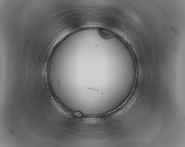 X0000113171137200909181826