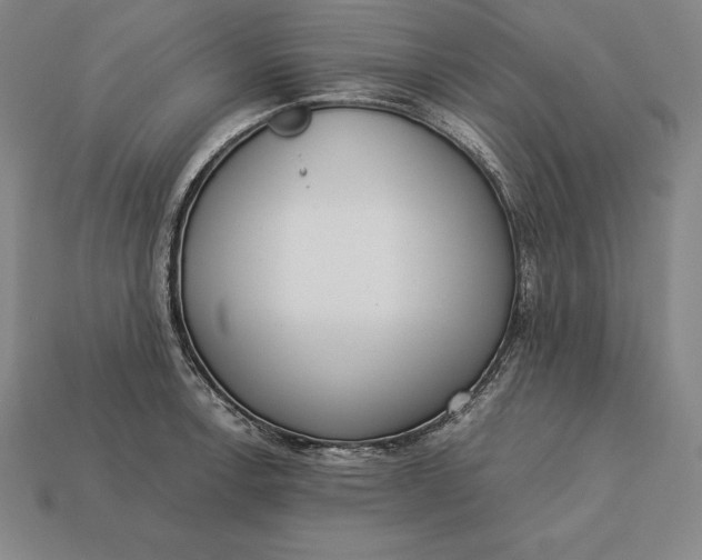 X0000113171138200909181826