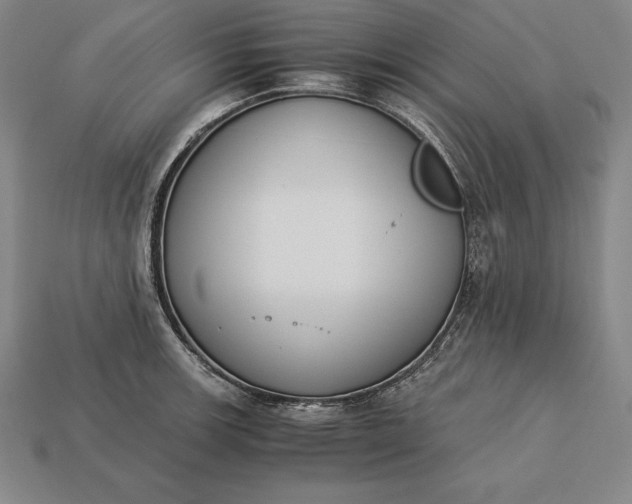 X0000113171139200909181826
