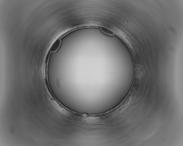 X0000113171140200909181826
