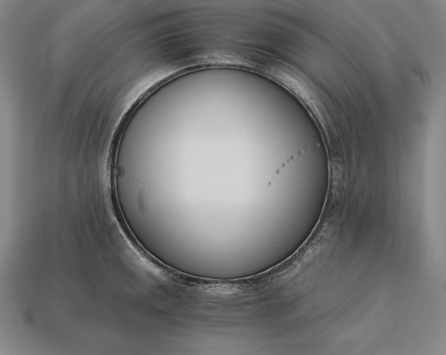 X0000113171141200909181826