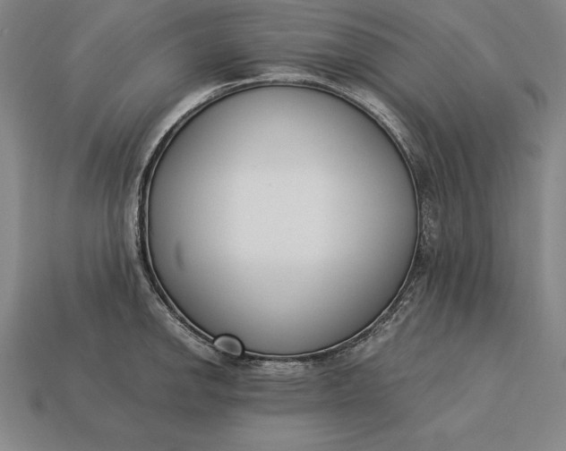 X0000113171142200909181826