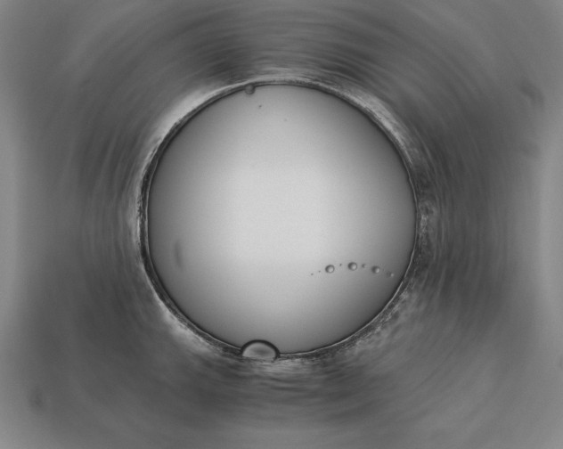 X0000113171143200909181826