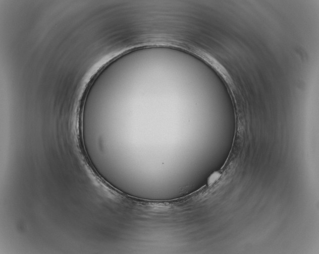 X0000113171144200909181826