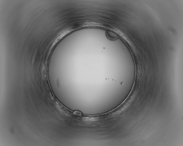 X0000113171145200909181826