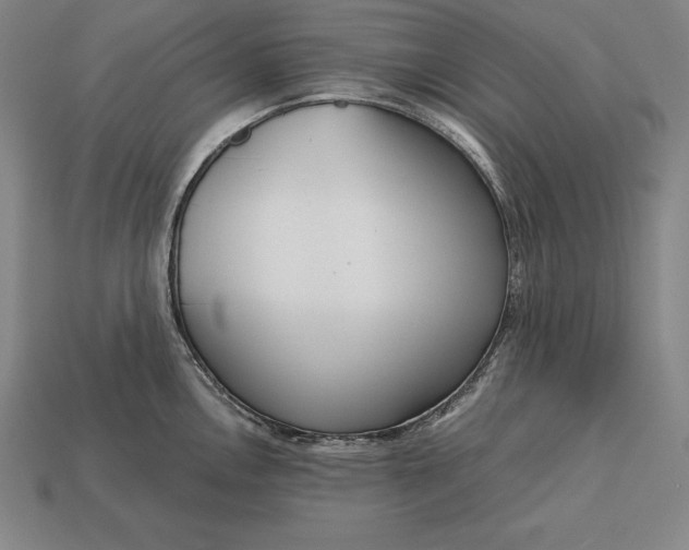 X0000113171146200909181826