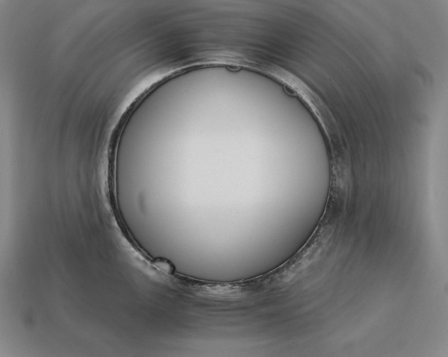 X0000113171147200909181826